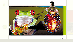 http://webfarm.foliolink.com/rating_img/200921811249_arturo_site.jpg