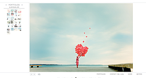 http://webfarm.foliolink.com/rating_img/2011413135721_wilson_site.jpg